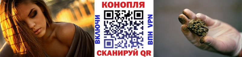 Шишки марихуана Bruce Banner  Салехард 